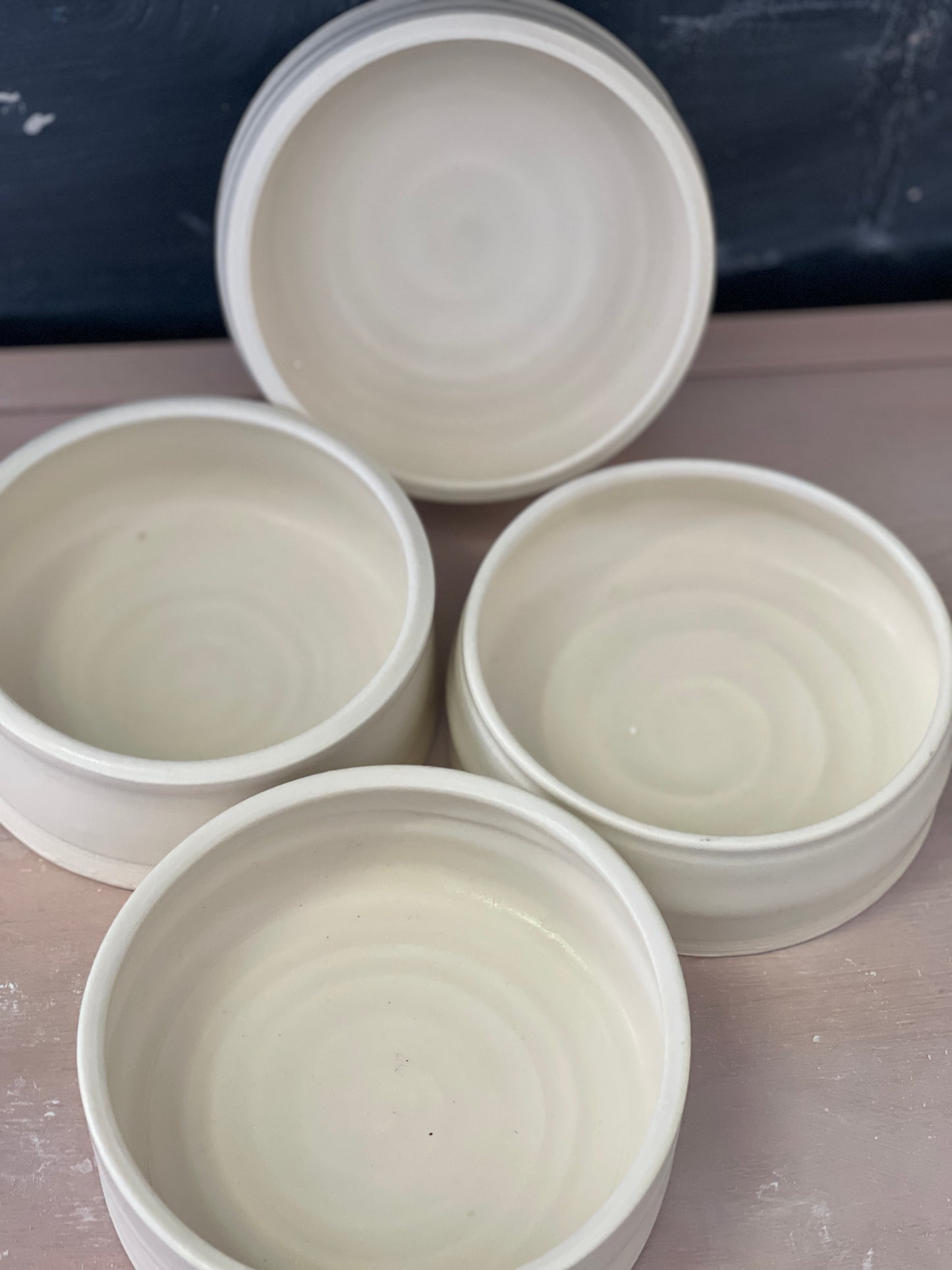 Snack Dishes/pet bowls/Feeders and Waterers