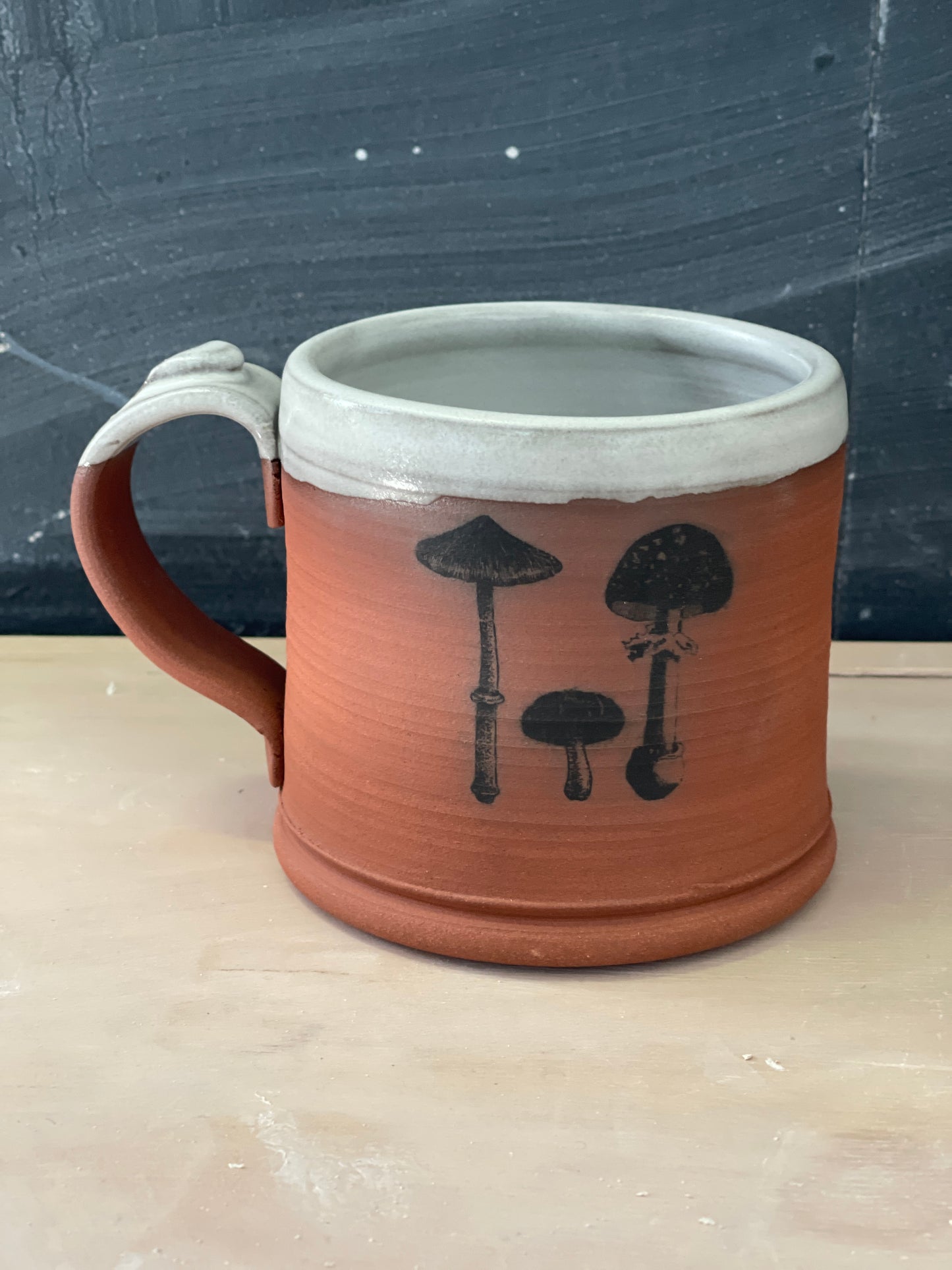 Large Mug With Mushroom on Dark Earthenware